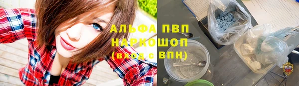 стаф Приозерск