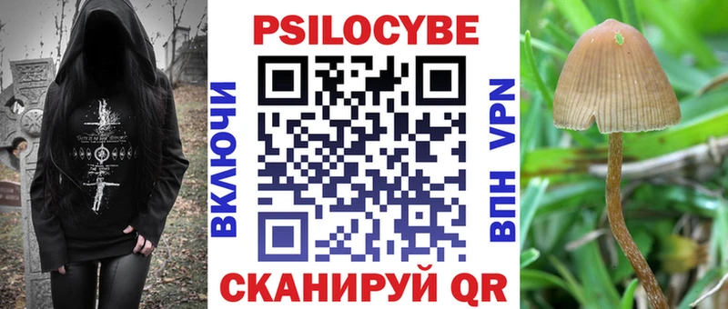 Псилоцибиновые грибы мицелий  Сольцы 
